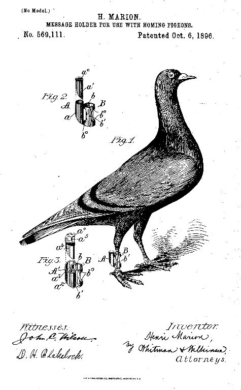 Henri Marion Homing Pigeon Patent 1896