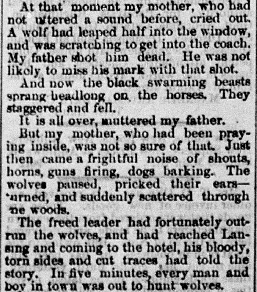 Terre Haute Daily News, December 3, 1880
