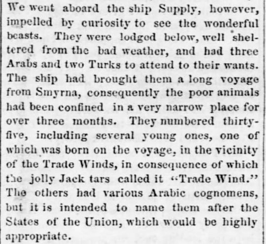 Raftsman's Journal, July 2, 1856